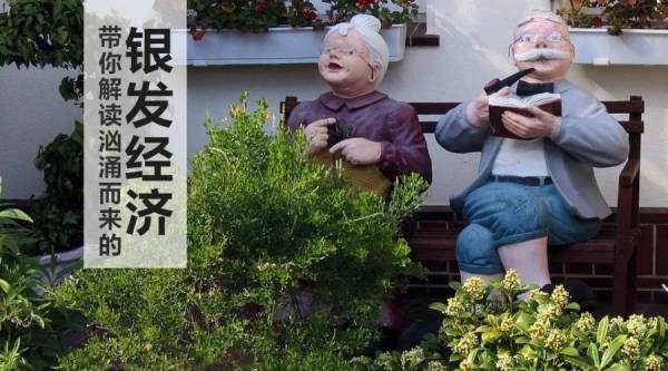银发经济.jpg