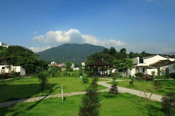 1656047814260506.jpg 1.jpg