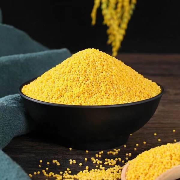 1659682449382624.jpg 2.jpg